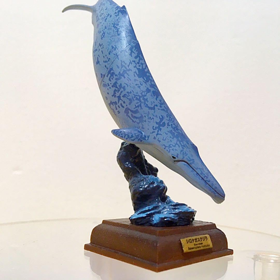 海洋堂 巨大フィギュア 全長70cm以上! シロナガスクジラ Amazon | EUHELOPA シロナガスクジラ フィギュア 藍鯨 鯨 ジャンプの姿